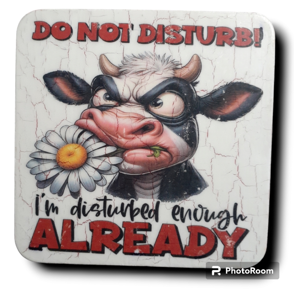 WOODEN SOUVENIRS SARCASTIC FUNNY COD/ALOVA/229